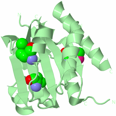 Image Biological Unit 2