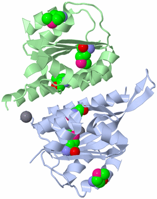 Image Biological Unit 3