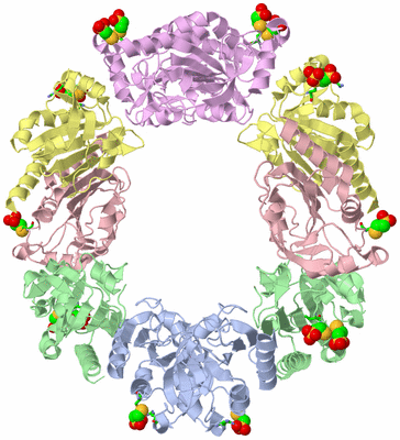 Image Biol. Unit 1 - sites