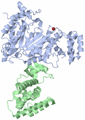 Image Biological Unit 1