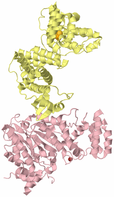 Image Biological Unit 2