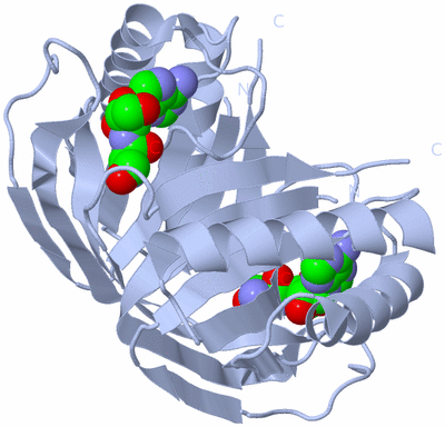 Image Biological Unit 1