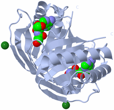 Image Biological Unit 1