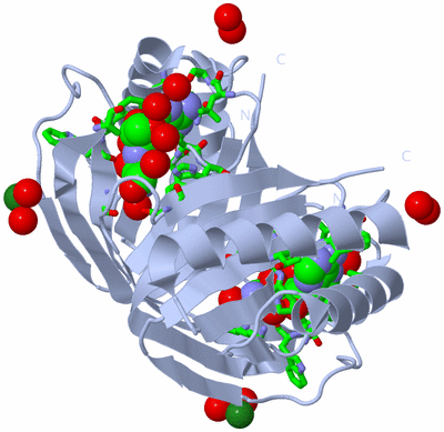 Image Biol. Unit 1 - sites