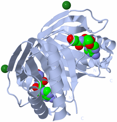 Image Biological Unit 1