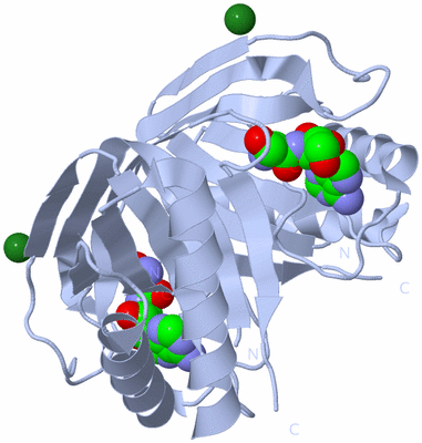 Image Biological Unit 1