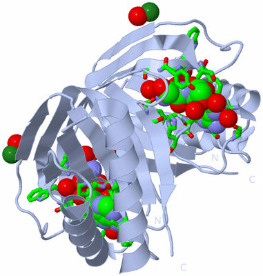 Image Biol. Unit 1 - sites