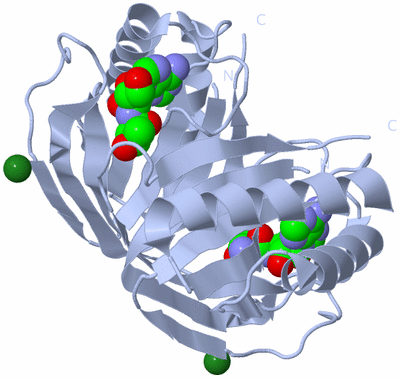 Image Biological Unit 1