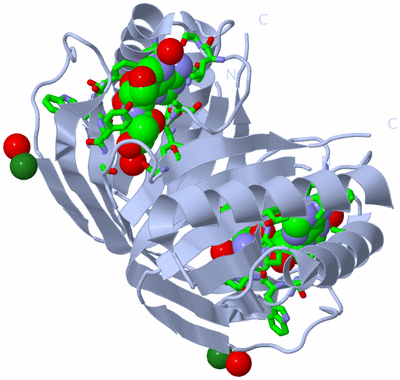 Image Biol. Unit 1 - sites