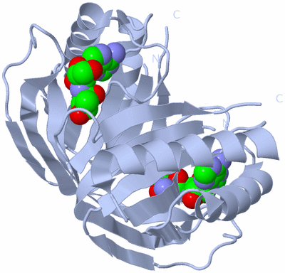 Image Biological Unit 1