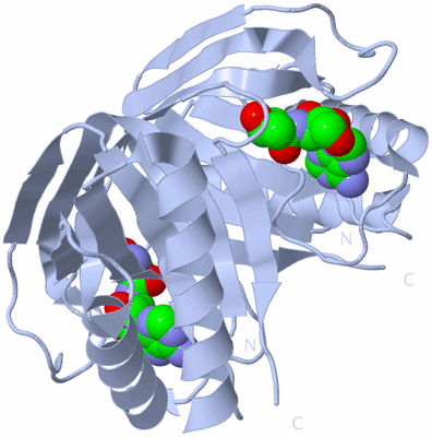 Image Biological Unit 1