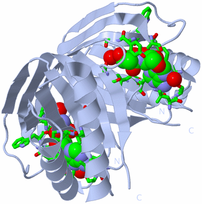 Image Biol. Unit 1 - sites