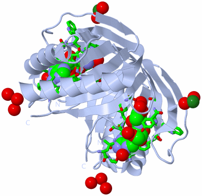 Image Biol. Unit 1 - sites