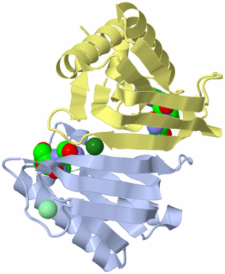 Image Biological Unit 1