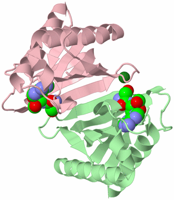 Image Biological Unit 2