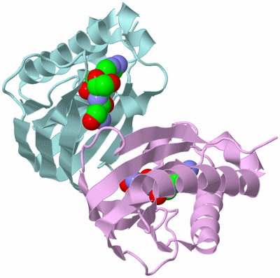 Image Biological Unit 3