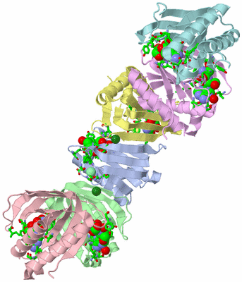 Image Asym. Unit - sites