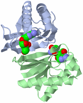 Image Biological Unit 1