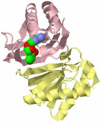 Image Biological Unit 2