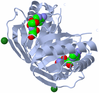 Image Biological Unit 1