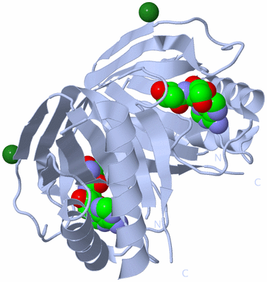 Image Biological Unit 1