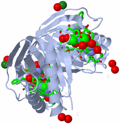 Image Biol. Unit 1 - sites