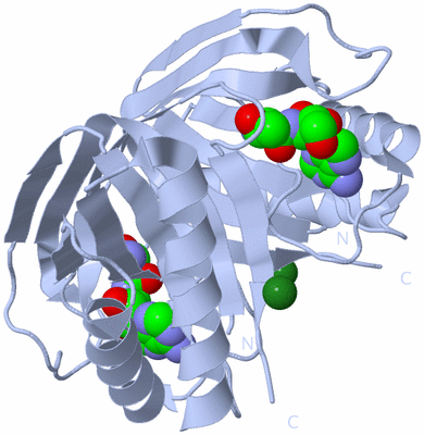 Image Biological Unit 1