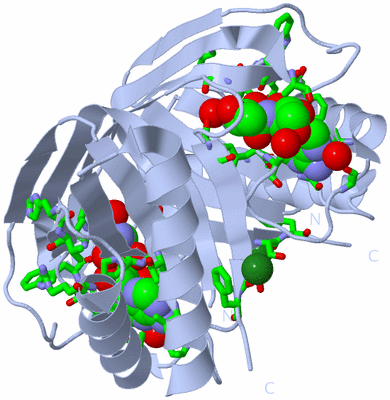 Image Biol. Unit 1 - sites