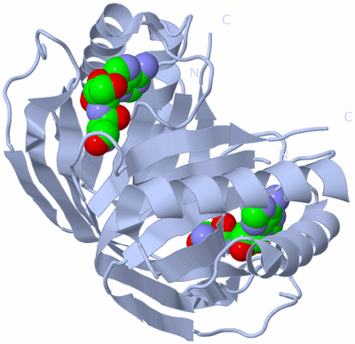 Image Biological Unit 1