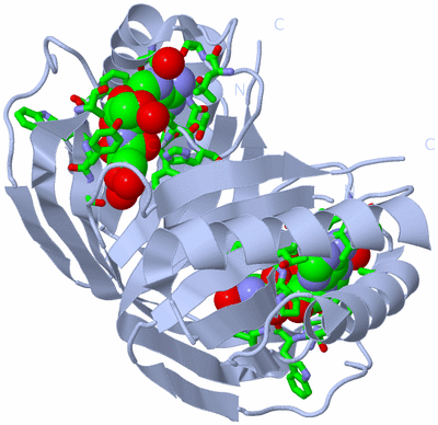 Image Biol. Unit 1 - sites