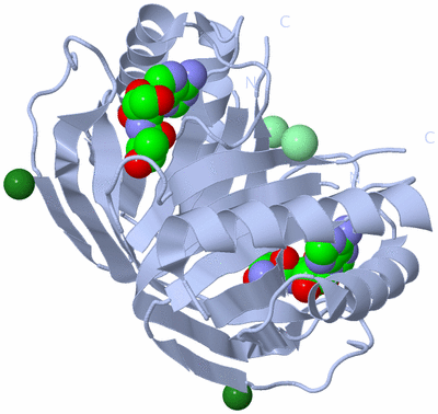 Image Biological Unit 1