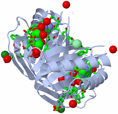 Image Biol. Unit 1 - sites