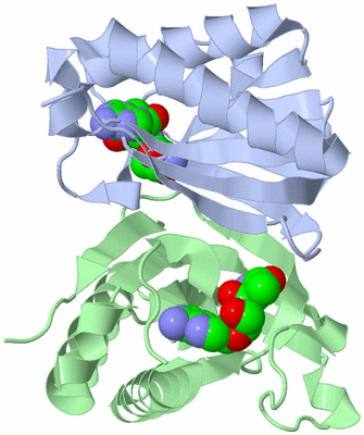 Image Asym./Biol. Unit