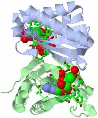 Image Asym./Biol. Unit - sites