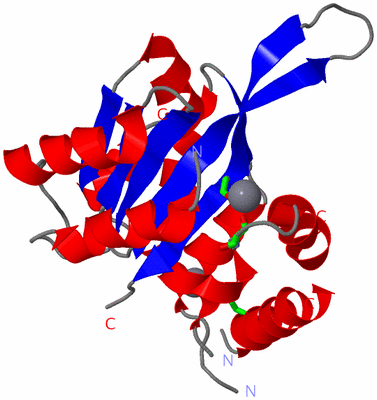 Image Asym. Unit - sites