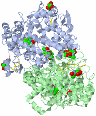 Image Biological Unit 1