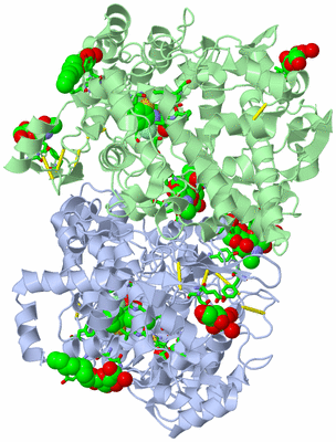 Image Asym./Biol. Unit - sites