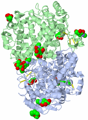 Image Biological Unit 1