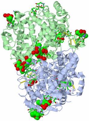 Image Biol. Unit 1 - sites