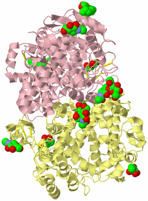 Image Biological Unit 2