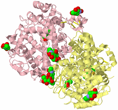 Image Biological Unit 2