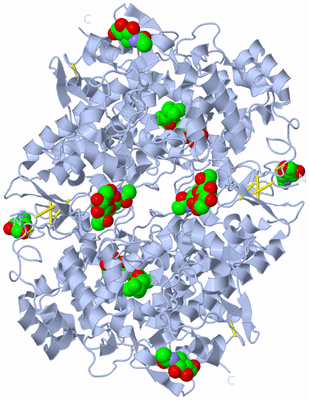 Image Biological Unit 1