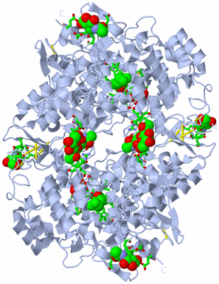 Image Biol. Unit 1 - sites