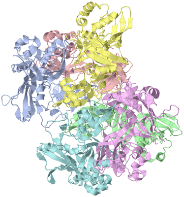 Image Asym./Biol. Unit