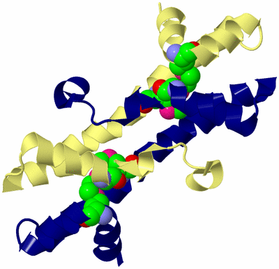 Image Biological Unit 1