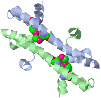 Image Biological Unit 2