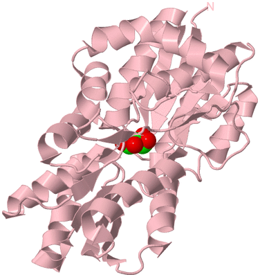 Image Biological Unit 3