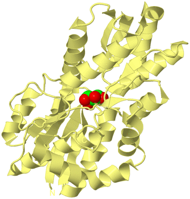 Image Biological Unit 4