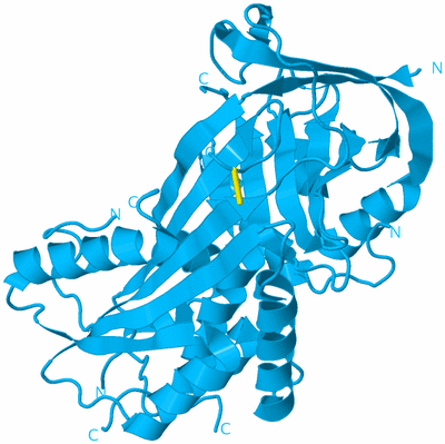Image Biological Unit 10