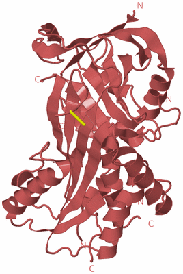 Image Biological Unit 11